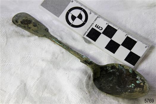 Spoon in golden colour covered with black and green marks and sea crustaceans