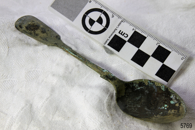 Spoon in golden colour covered with black and green marks and sea crustaceans