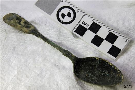 Spoon in golden colour covered with black and green marks and sea crustaceans