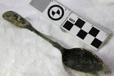 Spoon in golden colour covered with black and green marks and sea crustaceans