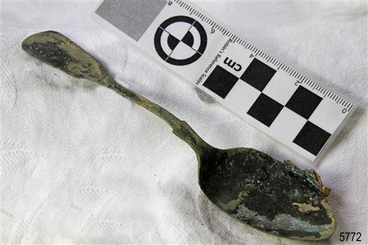 Spoon in golden colour covered with black and green marks and sea crustaceans