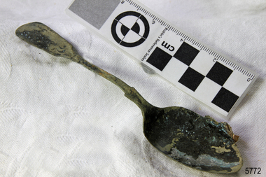 Spoon in golden colour covered with black and green marks and sea crustaceans
