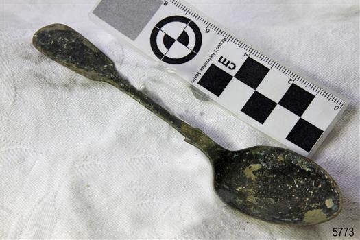 Spoon in golden colour covered with black and green marks and sea crustaceans