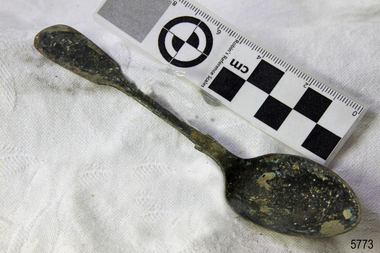 Spoon in golden colour covered with black and green marks and sea crustaceans