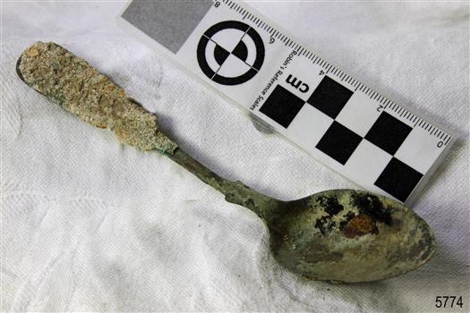 Spoon in golden colour covered with black and green marks and sea crustaceans