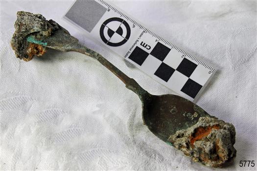Spoon in golden colour covered with black and green marks and sea crustaceans