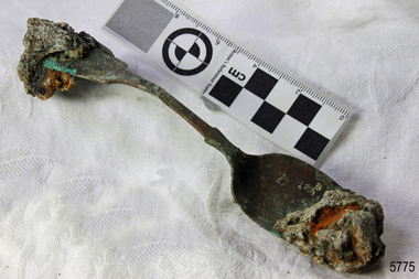 Spoon in golden colour covered with black and green marks and sea crustaceans