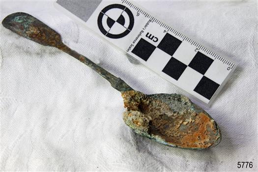 Spoon in golden colour covered with black and green marks and sea crustaceans