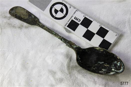 Spoon in golden colour covered with black and green marks and sea crustaceans