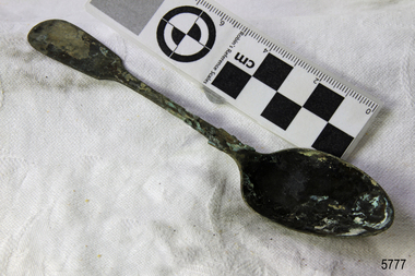 Spoon in golden colour covered with black and green marks and sea crustaceans