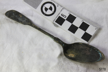 Spoon in golden colour covered with black and green marks and sea crustaceans