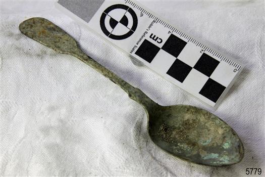 Spoon in golden colour covered with black and green marks and sea crustaceans