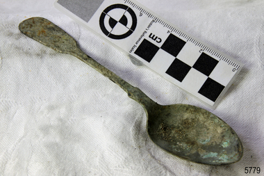 Spoon in golden colour covered with black and green marks and sea crustaceans