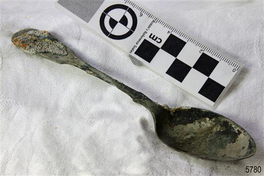 Spoon in golden colour covered with black and green marks and sea crustaceans