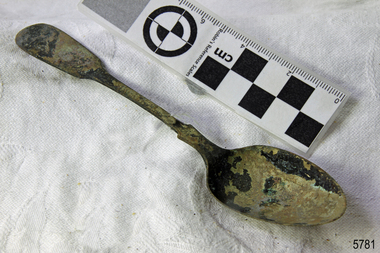 Spoon in golden colour covered with black and green marks and sea crustaceans