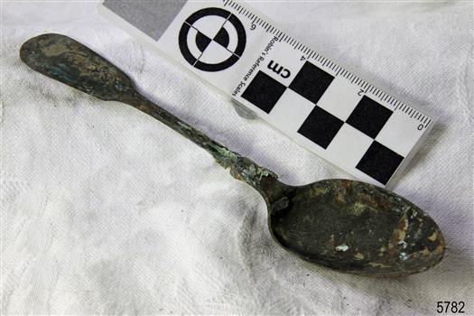 Spoon in golden colour covered with black and green marks and sea crustaceans