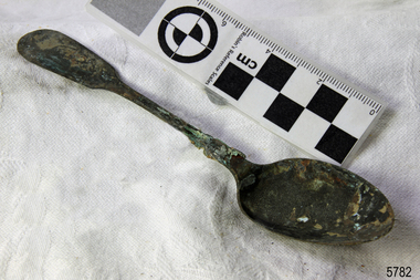 Spoon in golden colour covered with black and green marks and sea crustaceans