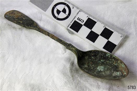 Spoon in golden colour covered with black and green marks and sea crustaceans