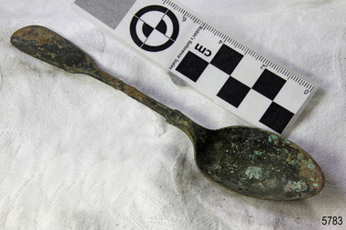 Spoon in golden colour covered with black and green marks and sea crustaceans