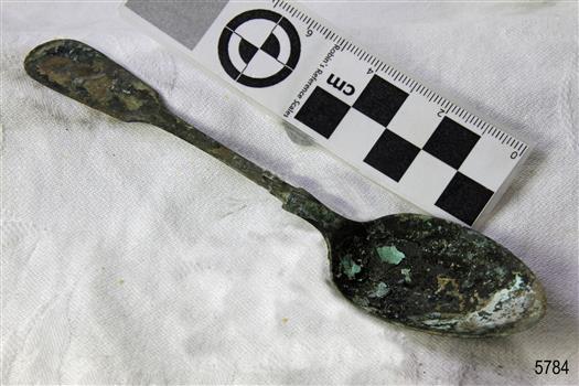 Spoon in golden colour covered with black and green marks and sea crustaceans