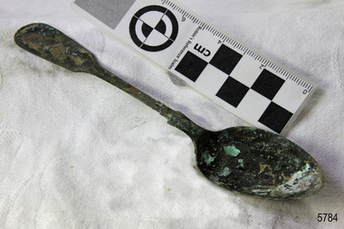 Spoon in golden colour covered with black and green marks and sea crustaceans