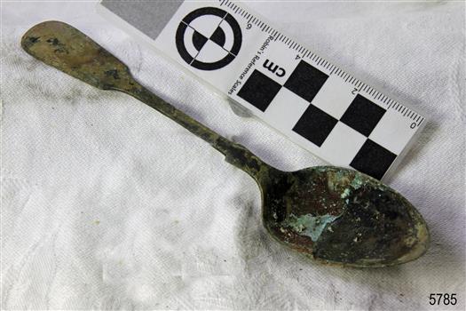 Spoon in golden colour covered with black and green marks and sea crustaceans