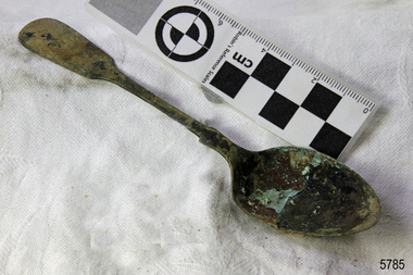 Spoon in golden colour covered with black and green marks and sea crustaceans