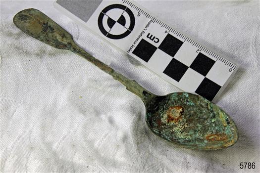 Spoon in golden colour covered with black and green marks and sea crustaceans