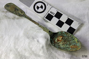 Spoon in golden colour covered with black and green marks and sea crustaceans