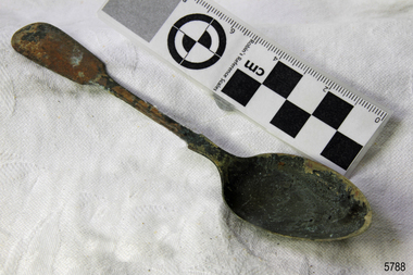 Domestic object - Spoon, c.1878