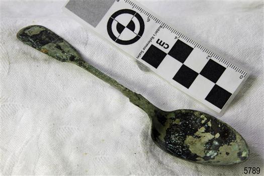 Spoon in golden colour covered with black and green marks and sea crustaceans