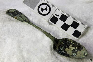 Spoon in golden colour covered with black and green marks and sea crustaceans