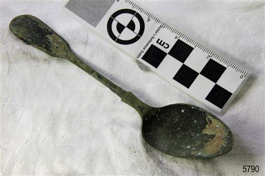 Spoon in golden colour covered with black and green marks and sea crustaceans