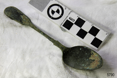 Spoon in golden colour covered with black and green marks and sea crustaceans