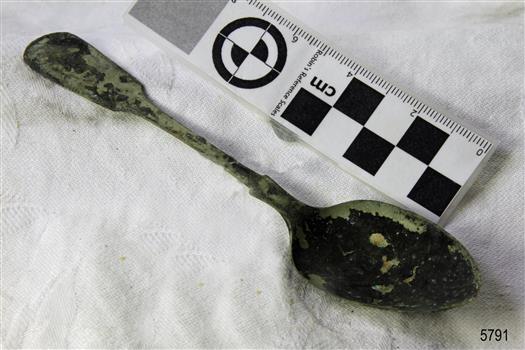 Spoon in golden colour covered with black and green marks and sea crustaceans