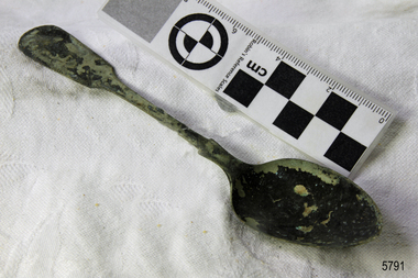 Spoon in golden colour covered with black and green marks and sea crustaceans