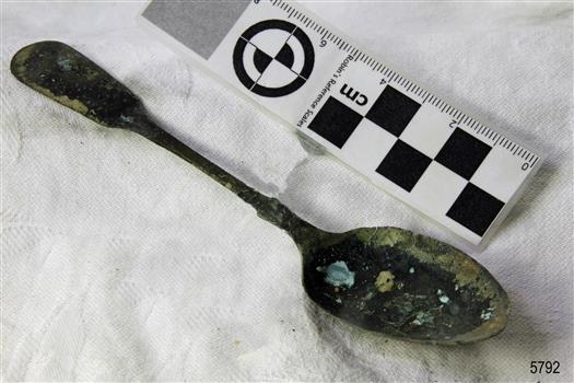 Spoon in golden colour covered with black and green marks and sea crustaceans