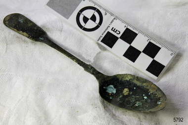 Spoon in golden colour covered with black and green marks and sea crustaceans