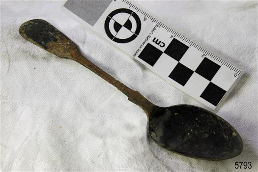 Spoon in golden colour covered with black and green marks and sea crustaceans