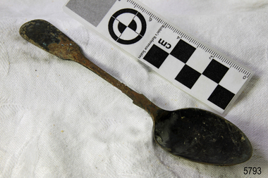 Spoon in golden colour covered with black and green marks and sea crustaceans