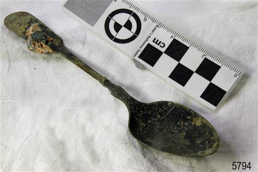 Spoon in golden colour covered with black and green marks and sea crustaceans