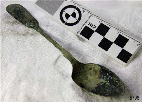 Spoon in golden colour covered with black and green marks and sea crustaceans