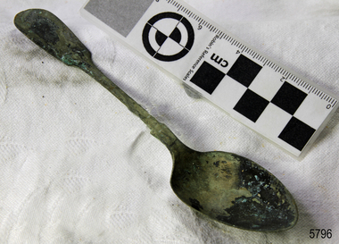 Spoon in golden colour covered with black and green marks and sea crustaceans