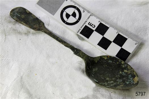 Spoon in golden colour covered with black and green marks and sea crustaceans