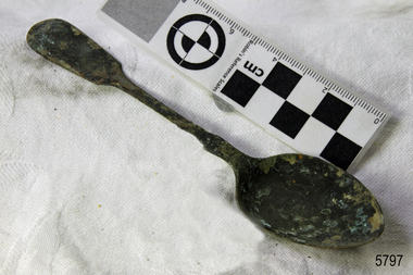 Spoon in golden colour covered with black and green marks and sea crustaceans