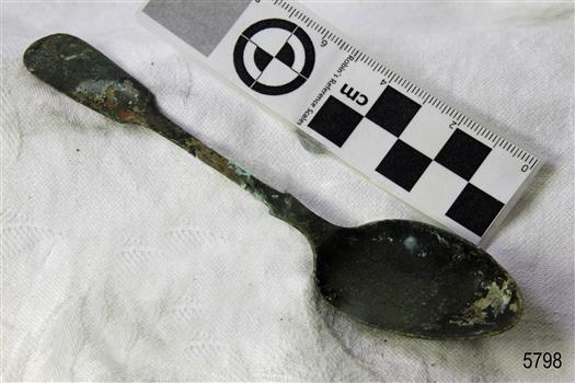 Spoon in golden colour covered with black and green marks and sea crustaceans