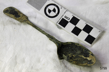 Spoon in golden colour covered with black and green marks and sea crustaceans