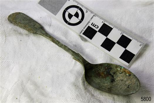 Spoon in golden colour covered with black and green marks and sea crustaceans