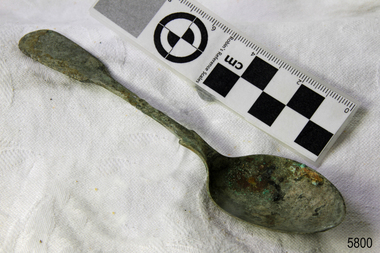 Spoon in golden colour covered with black and green marks and sea crustaceans