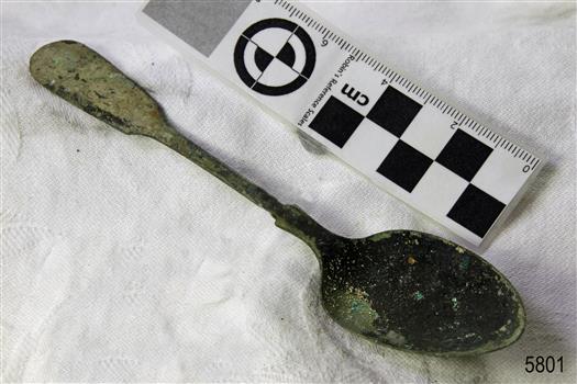 Spoon in golden colour covered with black and green marks and sea crustaceans